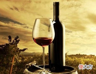 葡萄酒批發(fā)前景 葡萄酒工廠(chǎng)要多少錢(qián)